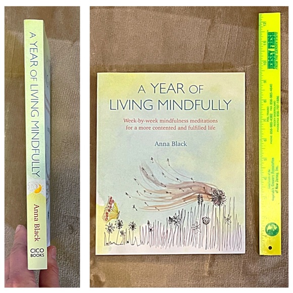 NEW A YEAR OF LIVING MINDFULLY Book Weekly Mindfulness Meditation Guide Activity - Picture 6 of 10